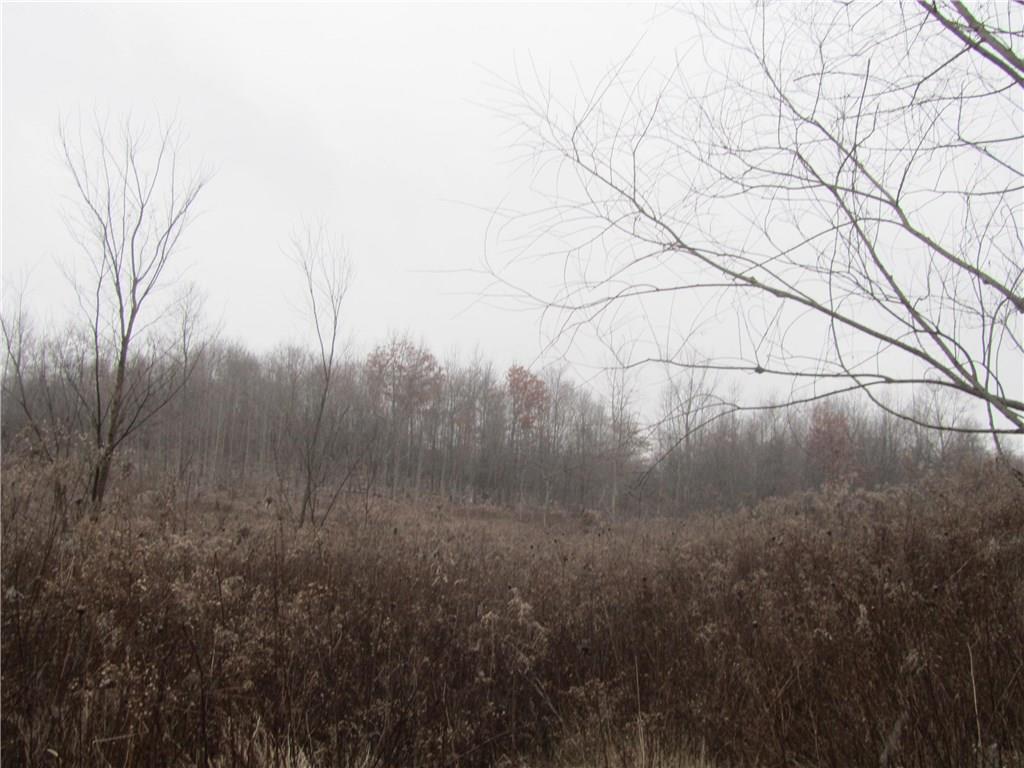 Land Patton Road Harrisville, PA 16038 - Photo 3 of 18