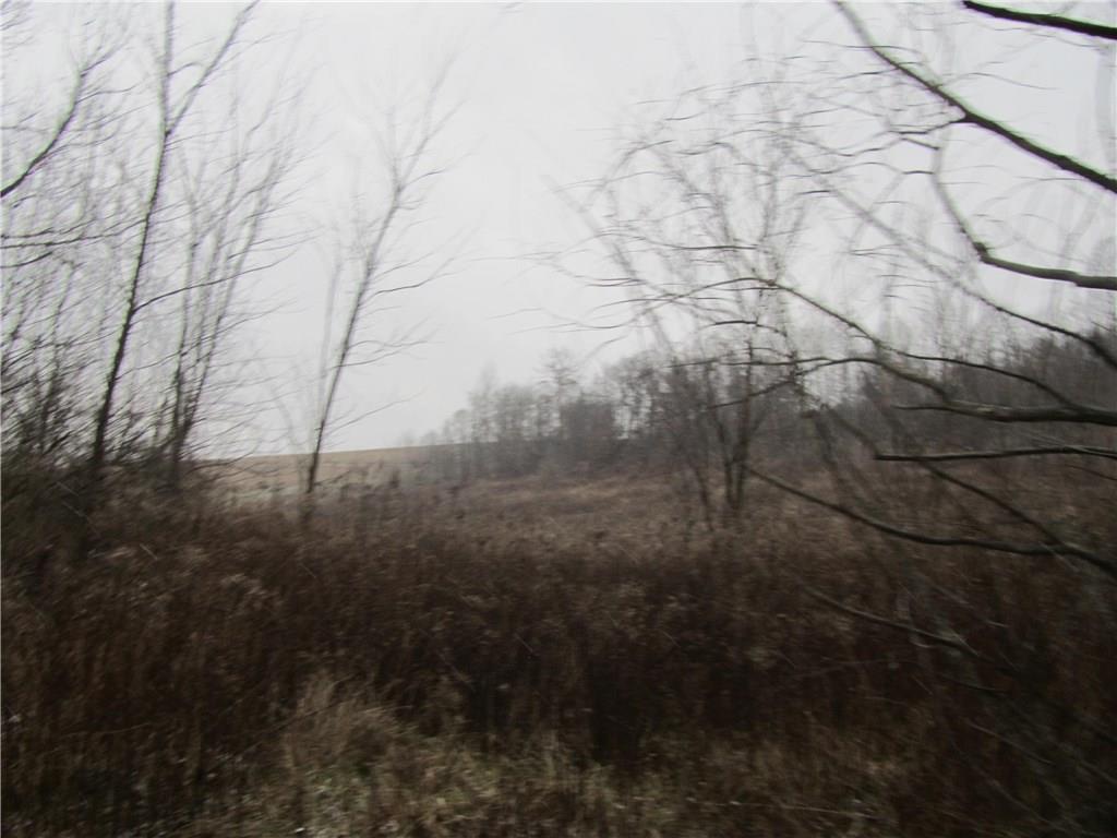 Land Patton Road Harrisville, PA 16038 - Photo 4 of 18