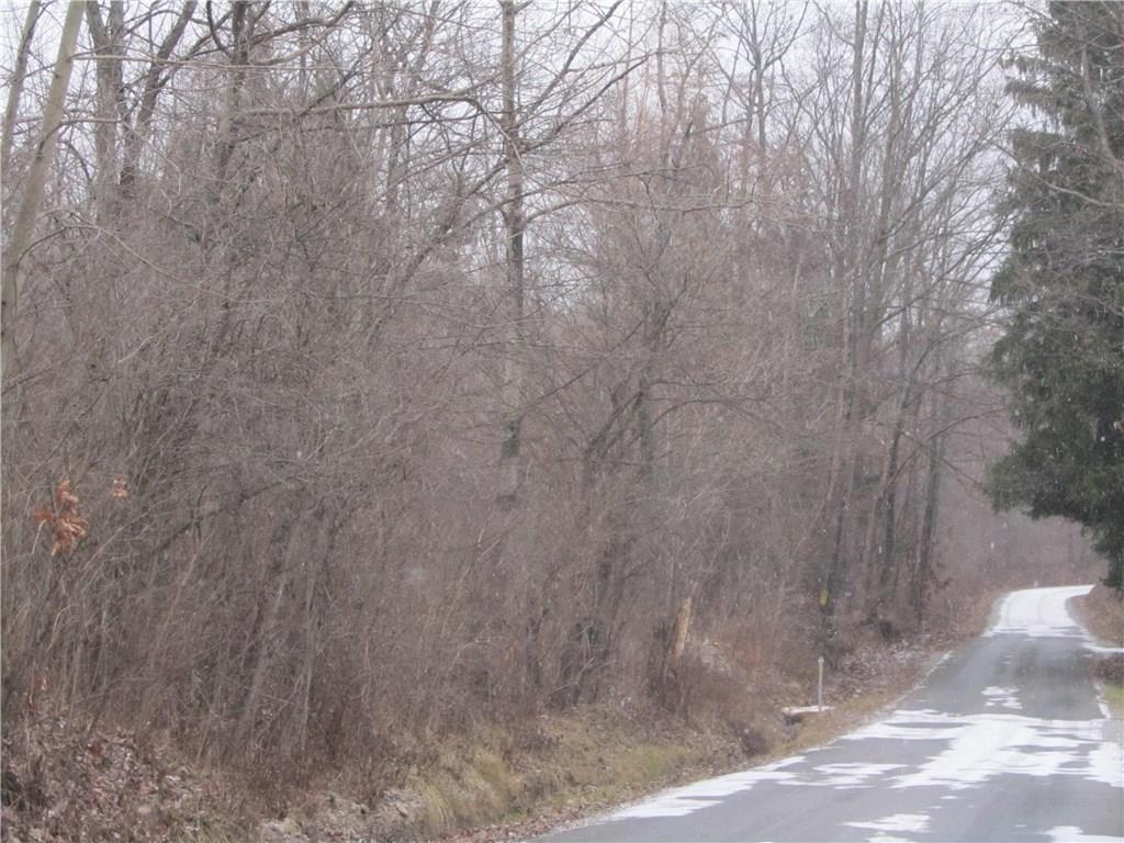 Land Patton Road Harrisville, PA 16038 - Photo 5 of 18