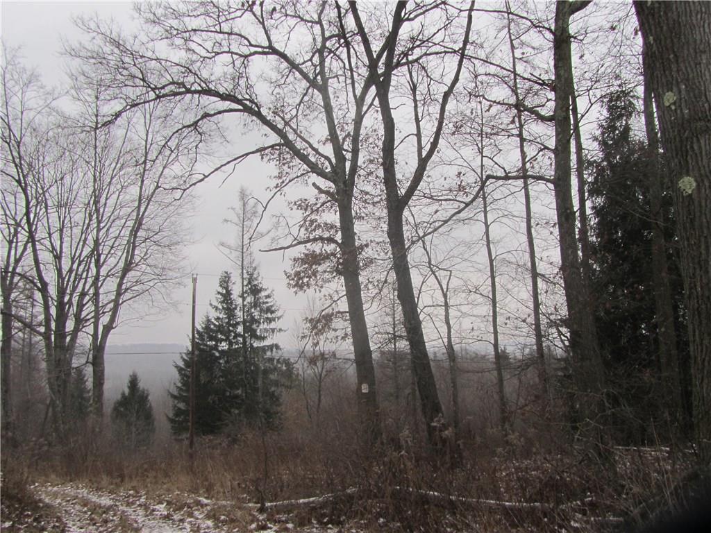 Land Patton Road Harrisville, PA 16038 - Photo 7 of 18