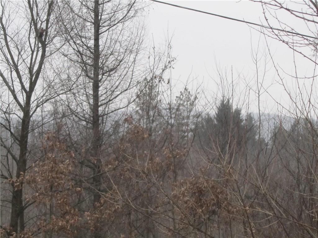 Land Patton Road Harrisville, PA 16038 - Photo 10 of 18