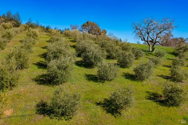 $3,495,000 | 24000 Fig Tree Lane, Hopland, CA 95449