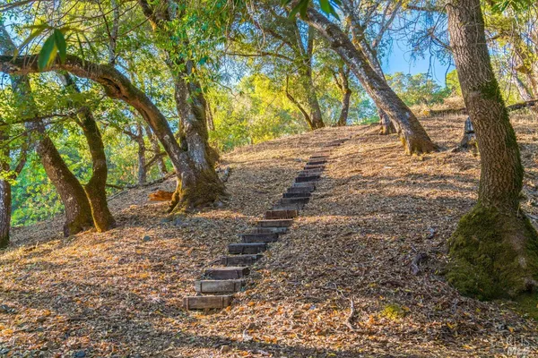 $3,495,000 | 24000 Fig Tree Lane, Hopland, CA 95449