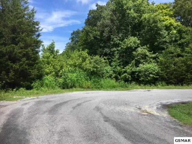 17 Buck Horn Road Sevierville, TN 37876 - Photo 3 of 7