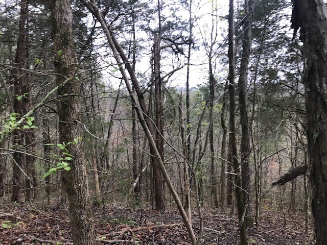 468 Co Road Englewood, TN 37329 - Photo 28 of 33