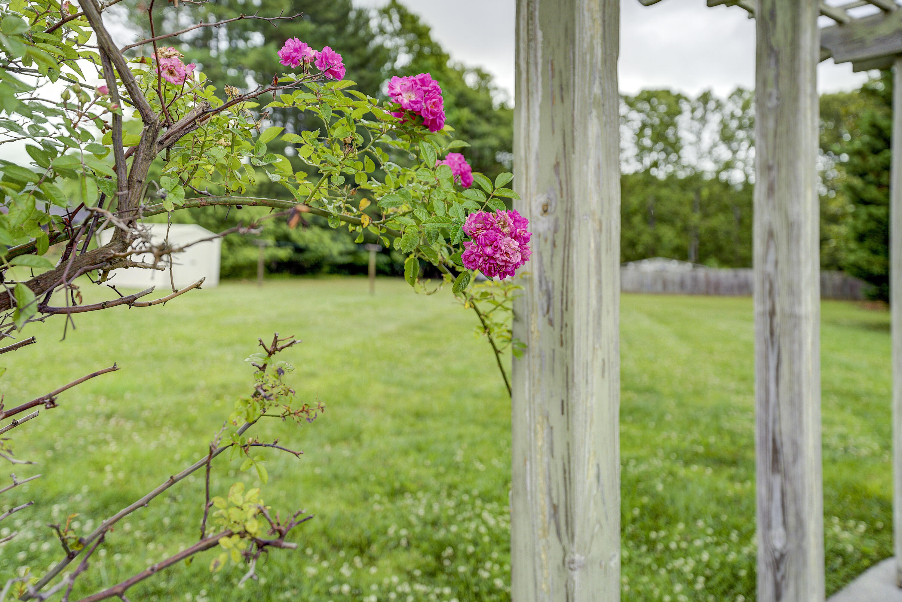 824 9th Street Erwin, TN 37650 - Photo 53 of 57 Ninth-17