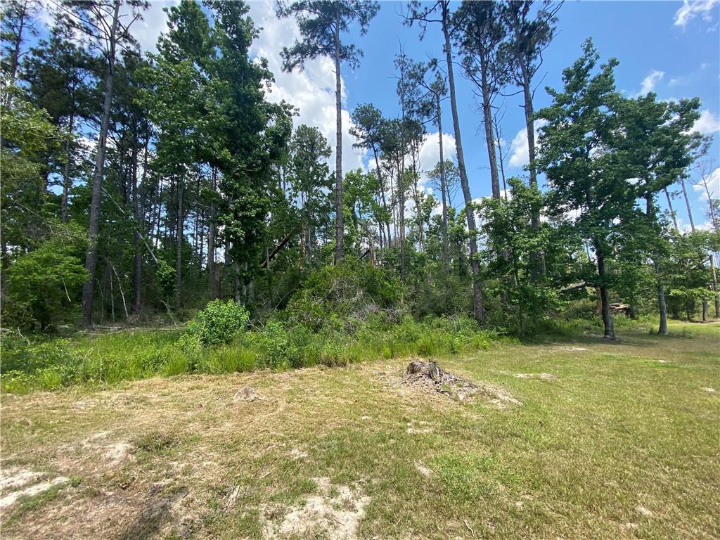 0 Hebert Cemetery Road Iowa, LA 70647 - Photo 1 of 5