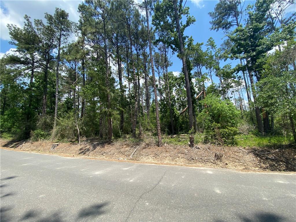 0 Hebert Cemetery Road Iowa, LA 70647 - Photo 3 of 5