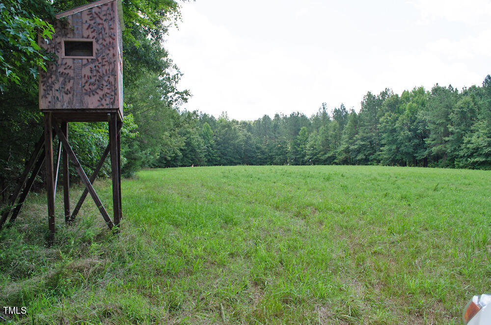 4070 Range Road Stem, NC 27581 - Photo 14 of 26 a view of a backyard