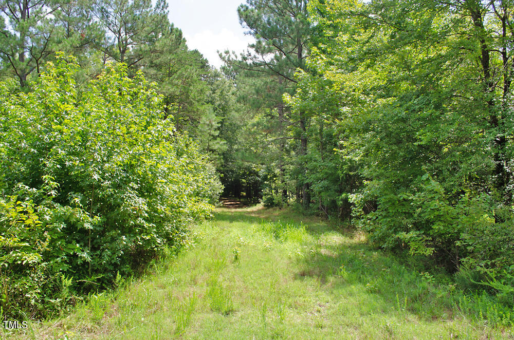 4070 Range Road Stem, NC 27581 - Photo 15 of 26 a view of yard with green space