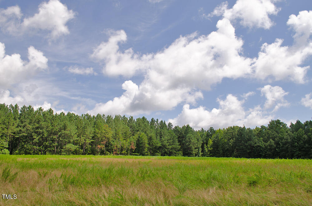 4070 Range Road Stem, NC 27581 - Photo 17 of 26 a view of a big yard with plants and a wooden fence