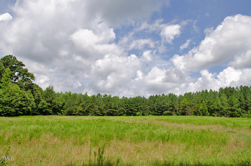 4070 Range Road Stem, NC 27581 - Photo 20 of 26 a view of field with trees in the background