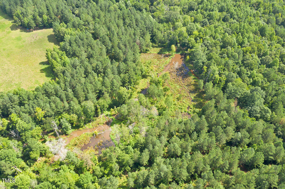 4070 Range Road Stem, NC 27581 - Photo 2 of 26 a view of a lush green forest