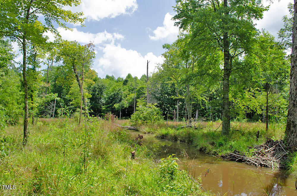 4070 Range Road Stem, NC 27581 - Photo 22 of 26 a view of a garden with a lake