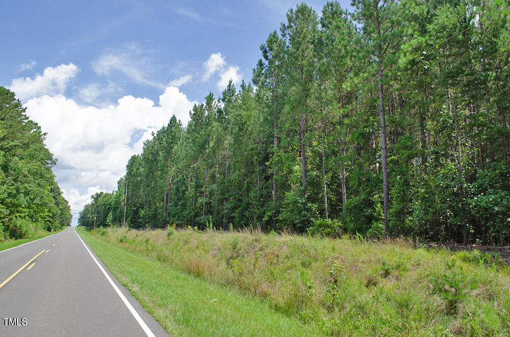 4070 Range Road Stem, NC 27581 - Photo 25 of 26 a view of a yard with a tree
