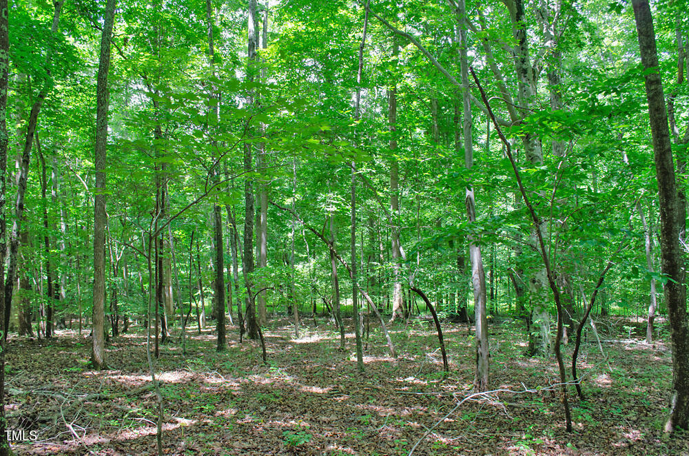 4070 Range Road Stem, NC 27581 - Photo 26 of 26