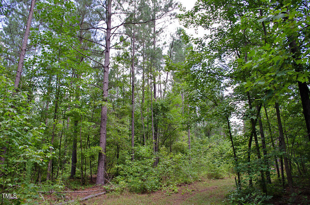 4070 Range Road Stem, NC 27581 - Photo 9 of 26 a view of a forest with lush green forest