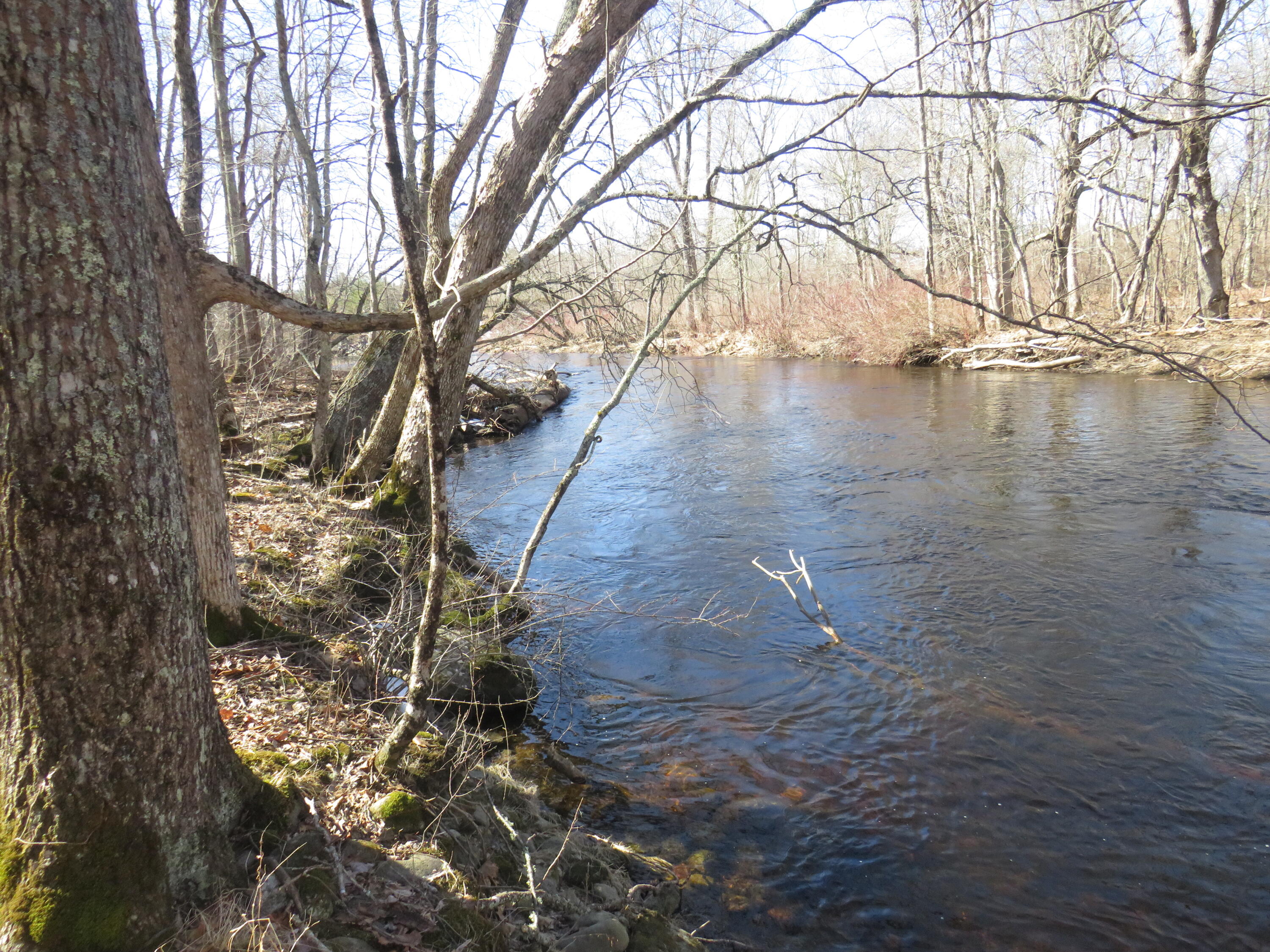 184 Sennebec Road Union, ME 04862 - Photo 4 of 24 IMG_9882