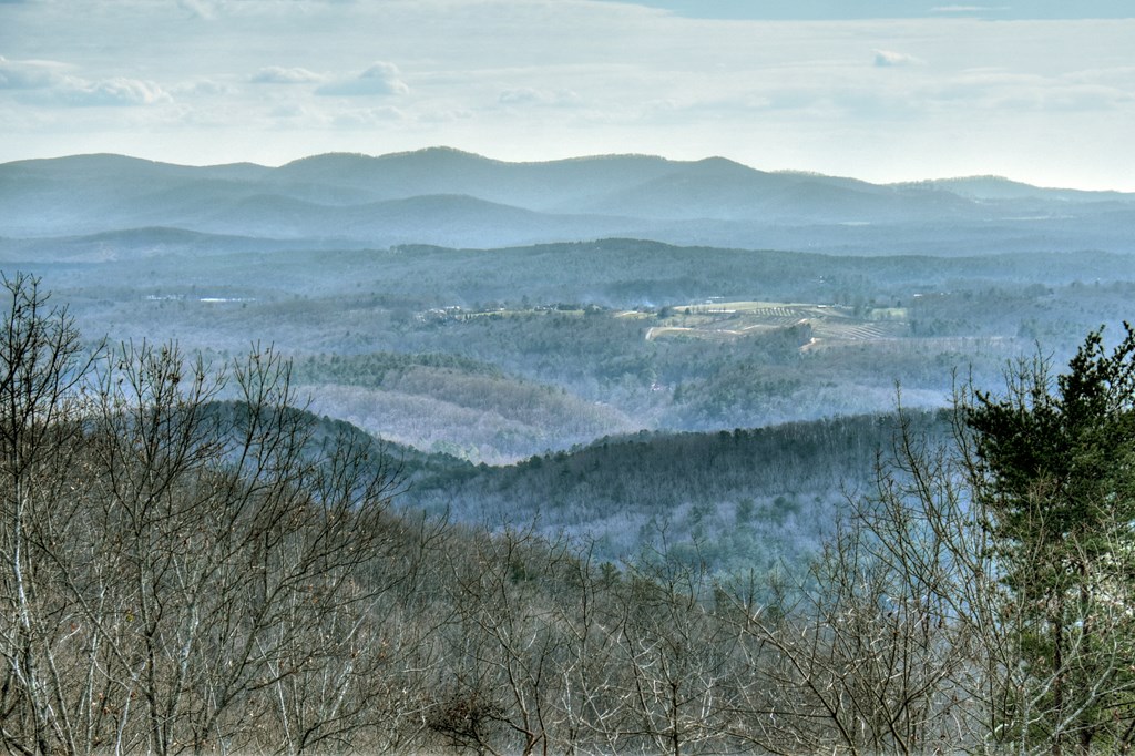 368 Walnut Ridge Ellijay, GA 30536 - Photo 41 of 47 Gallery Image 41