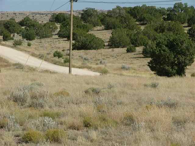112 Ranch Road Concho, AZ 85924 - Photo 4 of 9