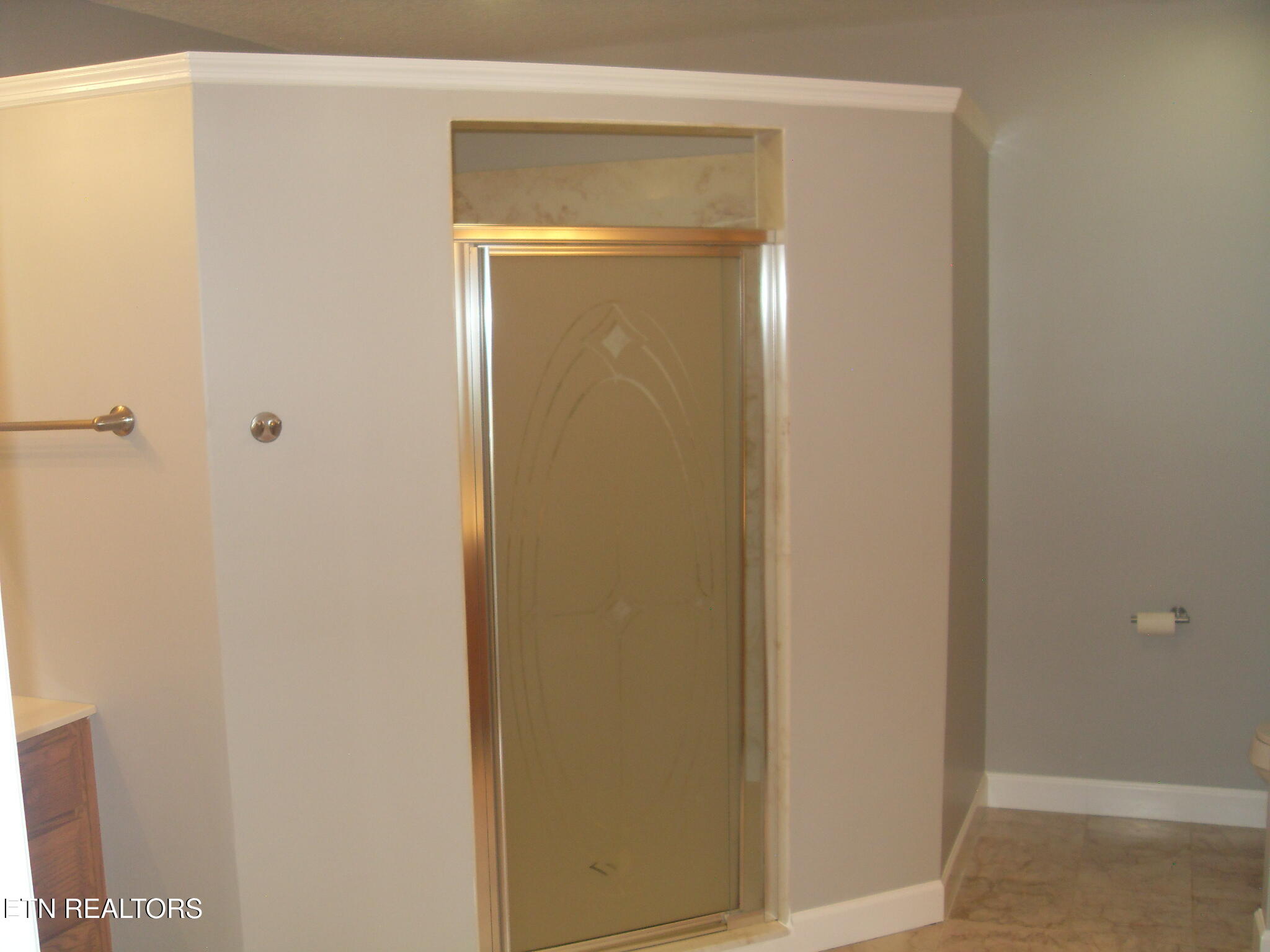 6742 Ridgeview Road Knoxville, TN 37918 - Photo 18 of 42 Master Bedroom Shower