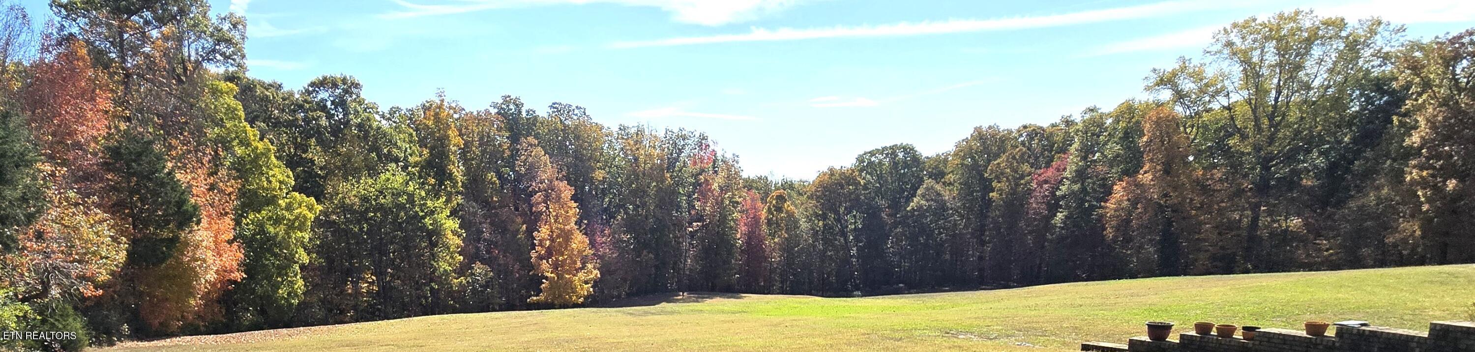 6742 Ridgeview Road Knoxville, TN 37918 - Photo 26 of 27 Backyard Fall View #2