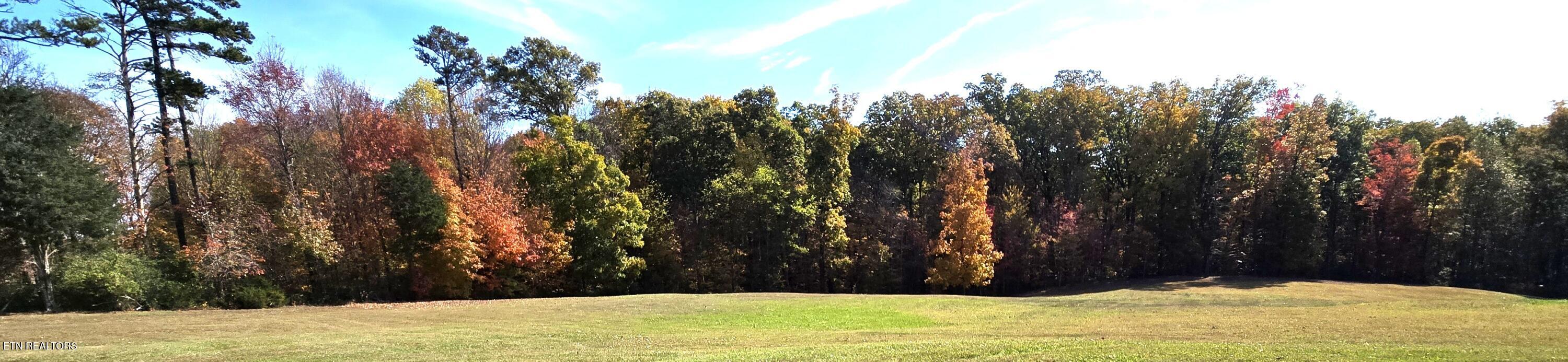 6742 Ridgeview Road Knoxville, TN 37918 - Photo 3 of 42 Backyard Fall View #1