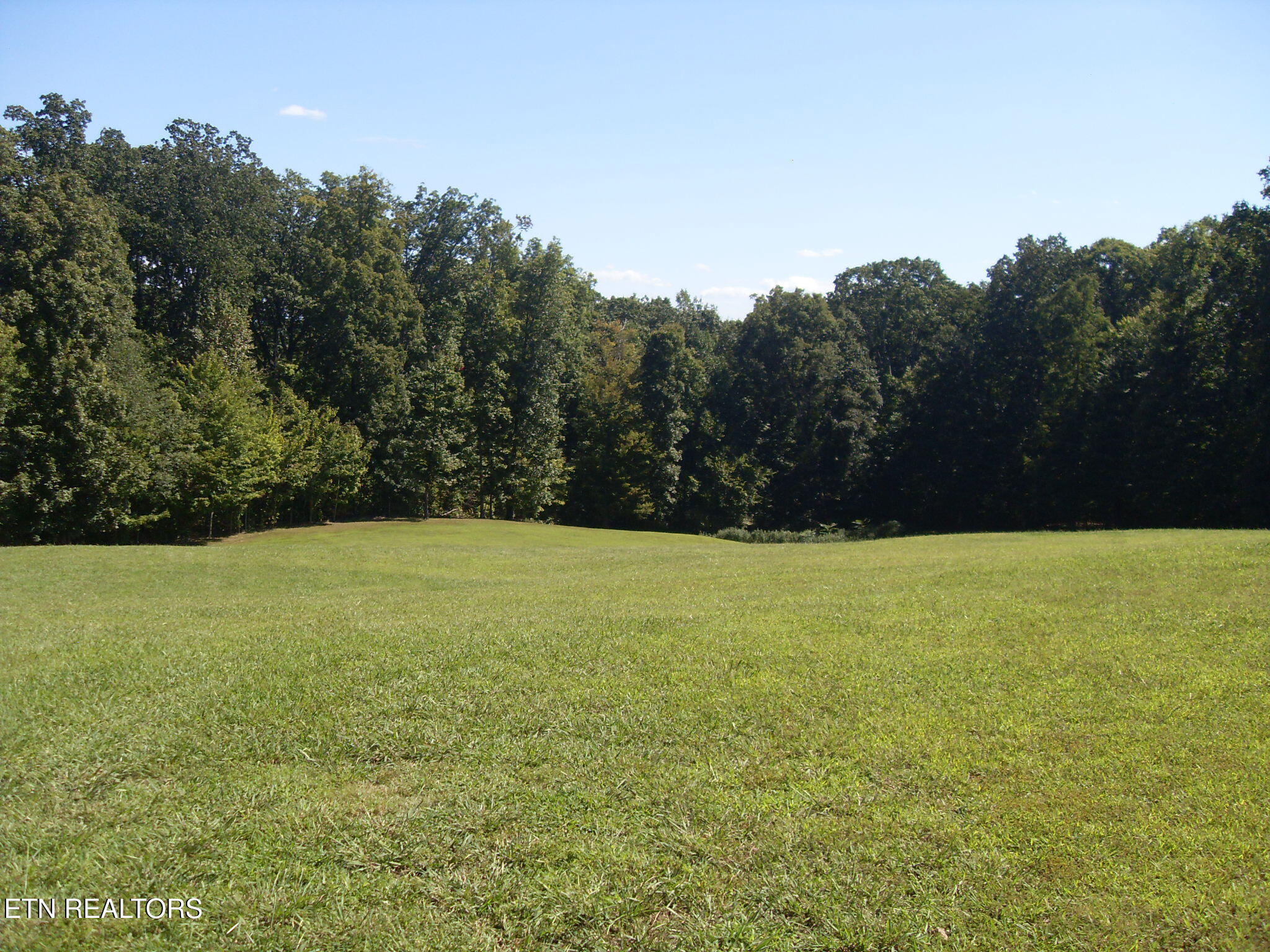 6742 Ridgeview Road Knoxville, TN 37918 - Photo 42 of 42 Backyard Summer View from Patio