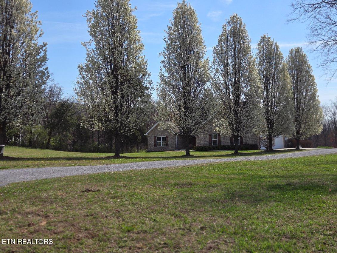 6742 Ridgeview Road Knoxville, TN 37918 - Photo 7 of 27 Front Yard Spring