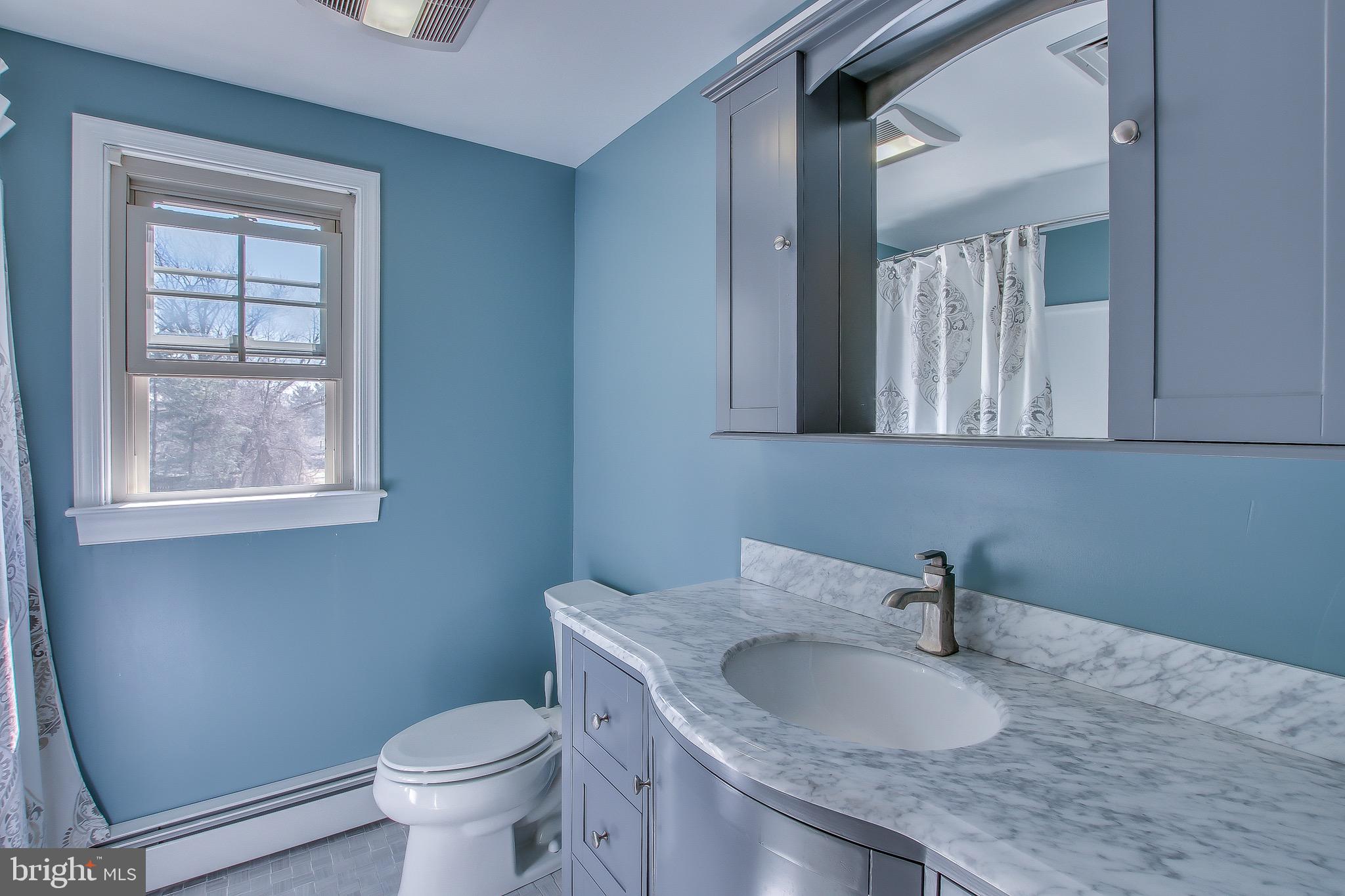 313 Evergreen Road Horsham, PA 19044 - Photo 26 of 55 Hall way bathroom