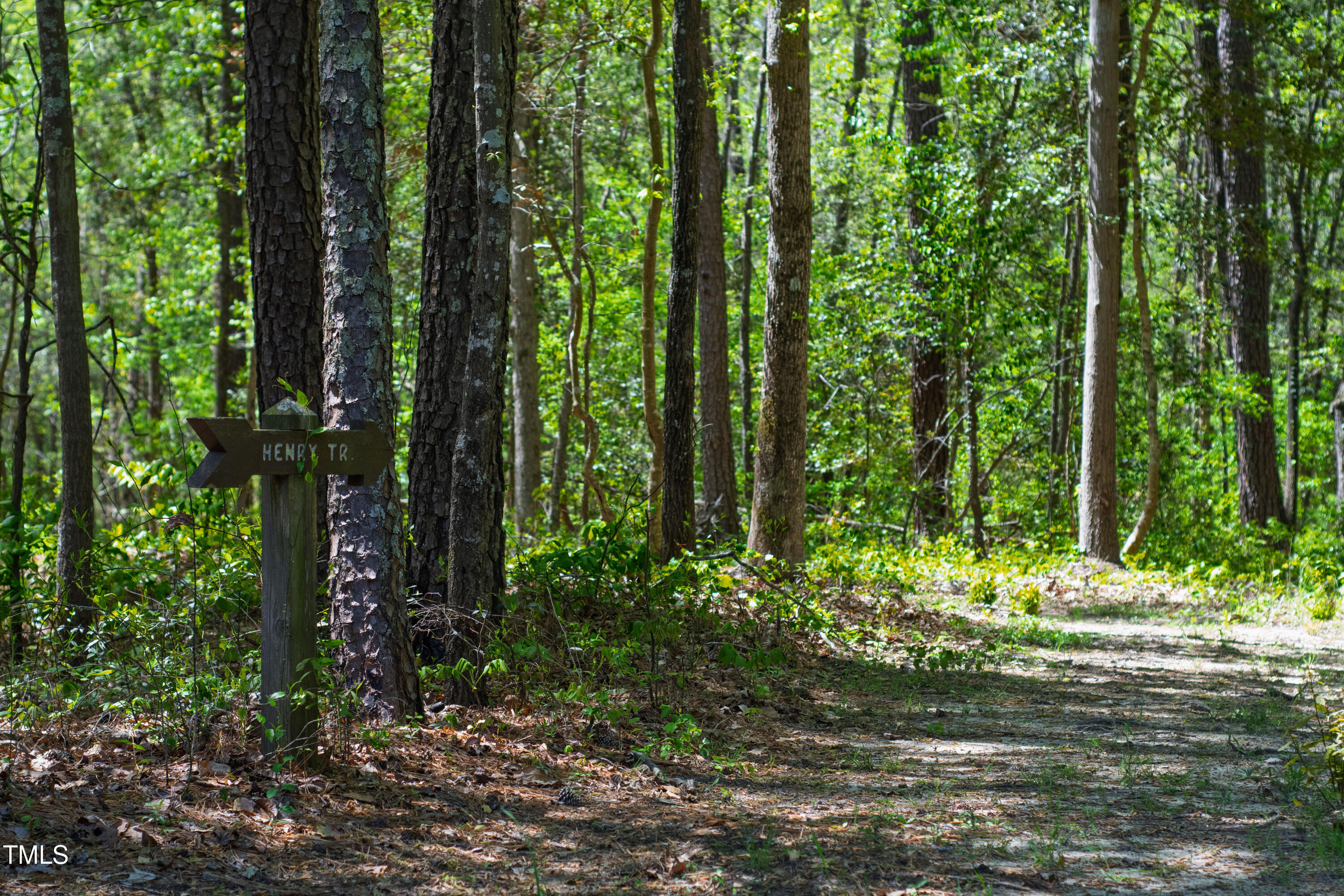 2451 Brick Mill Road Erwin, NC 28339 - Photo 86 of 101 One Of The Many Trails