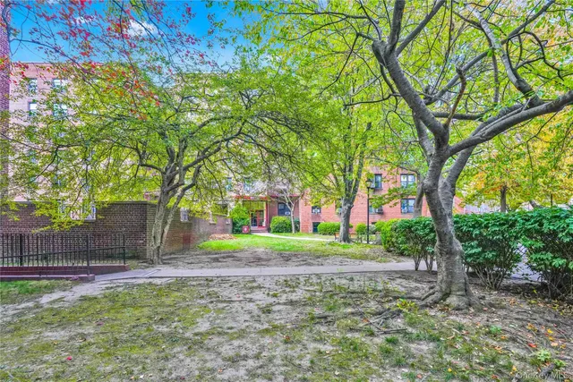 a view of a backyard with large trees