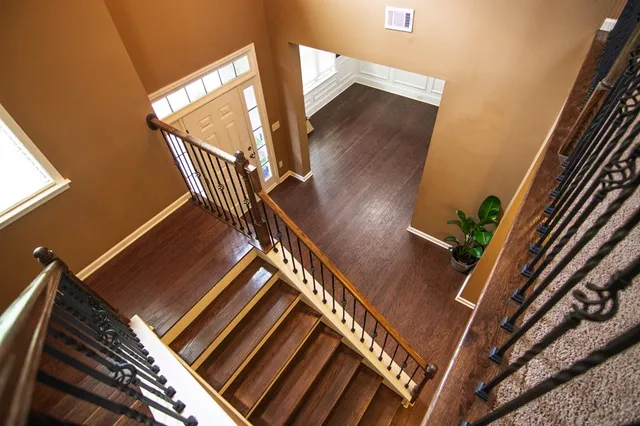 a view of a park with a large trees