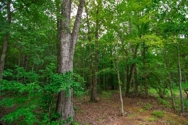 $448,000 | 306 Voorhees Road, Hamilton, GA 31811