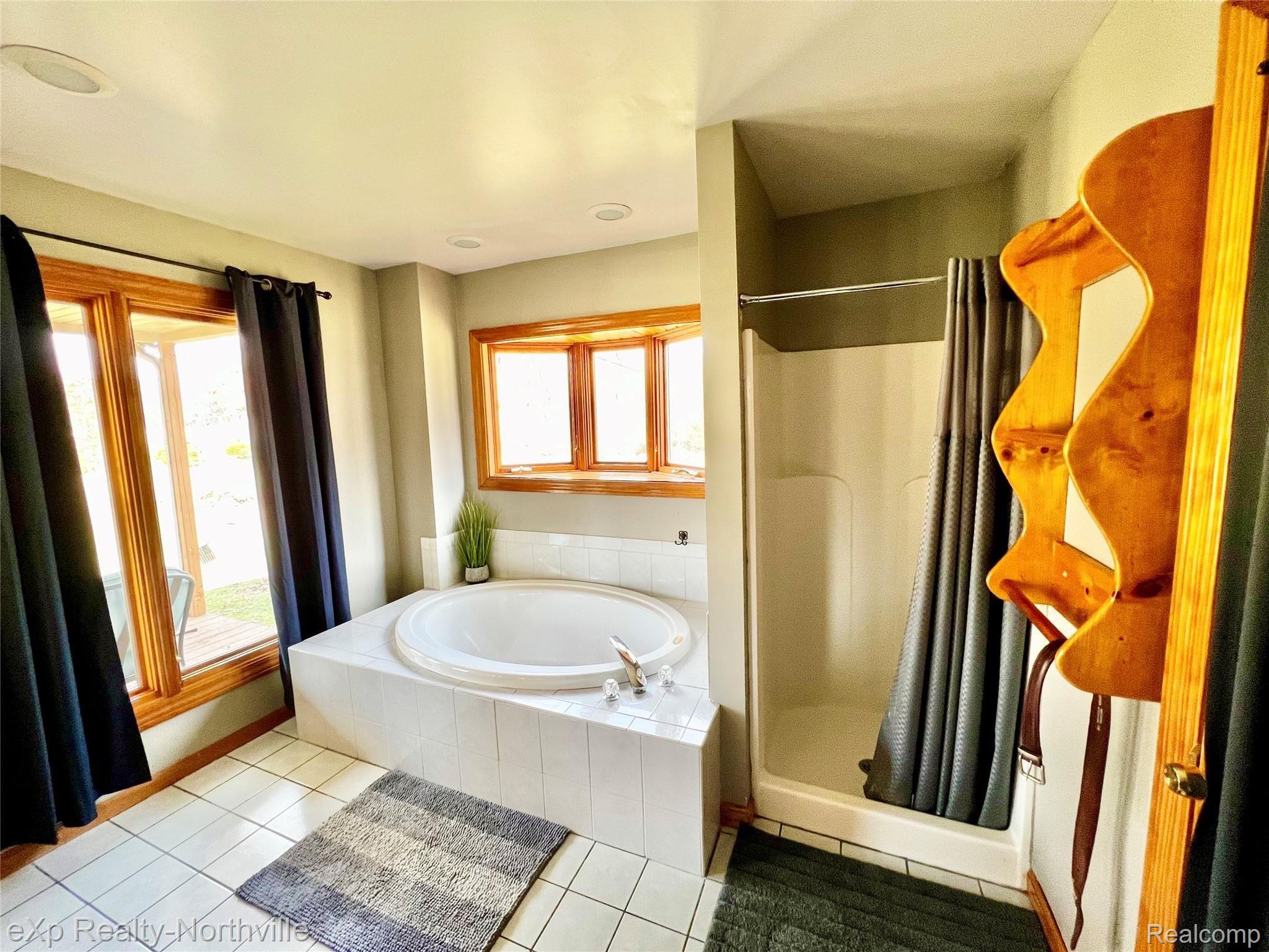 6573 Pinckney Road Pinckney, MI 48169 - Photo 8 of 20 Master Bathroom - Shower and Tub