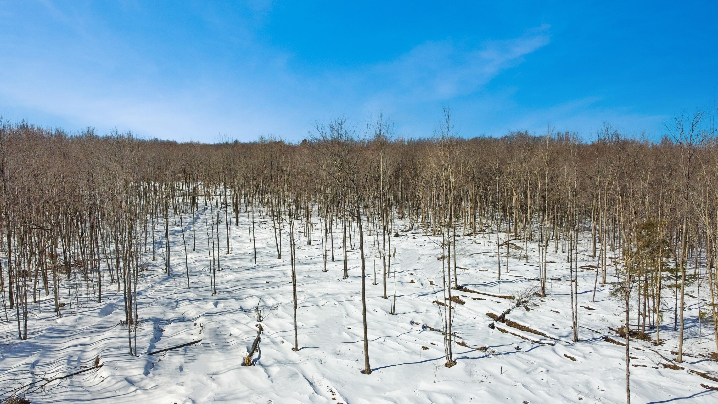 Map95-lot1 South Livermore Road Turner, ME 04282 - Photo 11 of 11 DJI_0455
