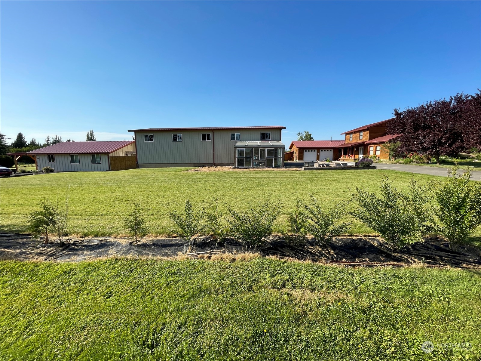 a view of a big yard with potted plants and large tree