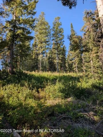 $1,400,000 | 6765 Lupine Trail, Wilson, WY 83014