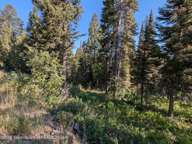 $1,400,000 | 6765 Lupine Trail, Wilson, WY 83014