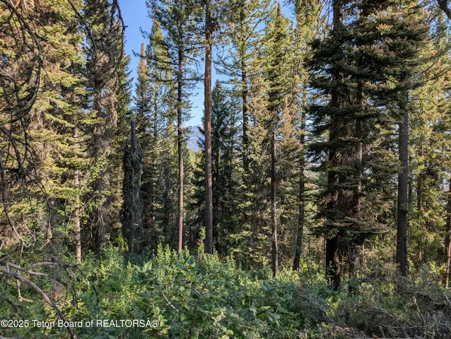 $1,400,000 | 6765 Lupine Trail, Wilson, WY 83014