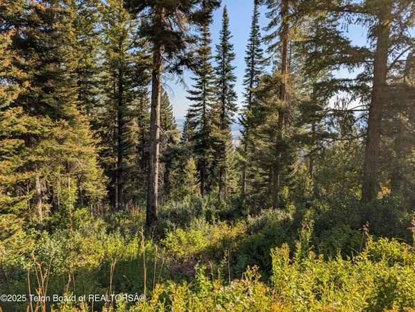 $1,400,000 | 6765 Lupine Trail, Wilson, WY 83014