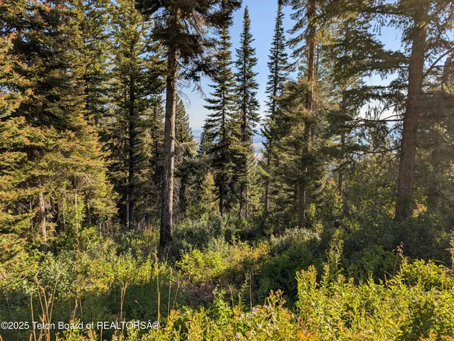 $1,400,000 | 6765 Lupine Trail, Wilson, WY 83014