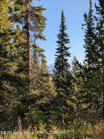 $1,400,000 | 6765 Lupine Trail, Wilson, WY 83014