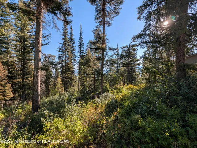 $1,400,000 | 6765 Lupine Trail, Wilson, WY 83014