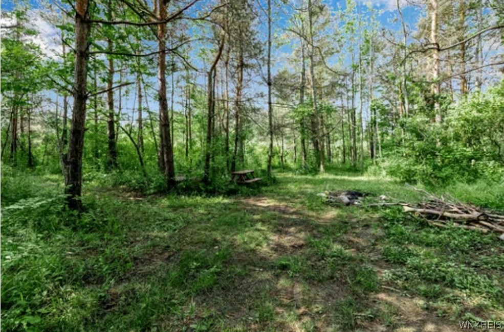 363 Westwood Road Lancaster, NY 14086 - Photo 18 of 22