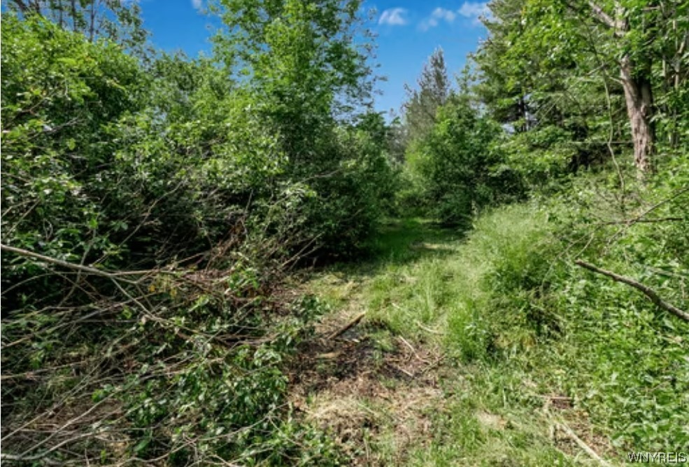 363 Westwood Road Lancaster, NY 14086 - Photo 20 of 22