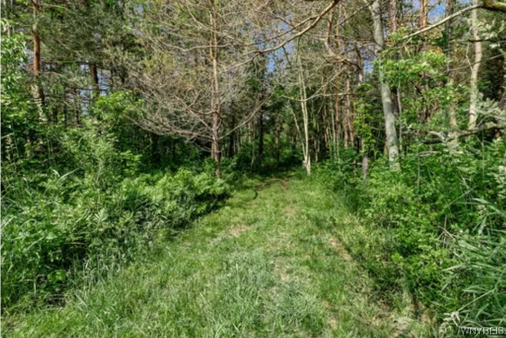 363 Westwood Road Lancaster, NY 14086 - Photo 21 of 22