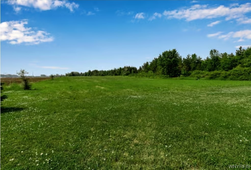 363 Westwood Road Lancaster, NY 14086 - Photo 22 of 22