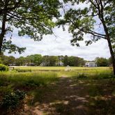 a view of an outdoor space and yard