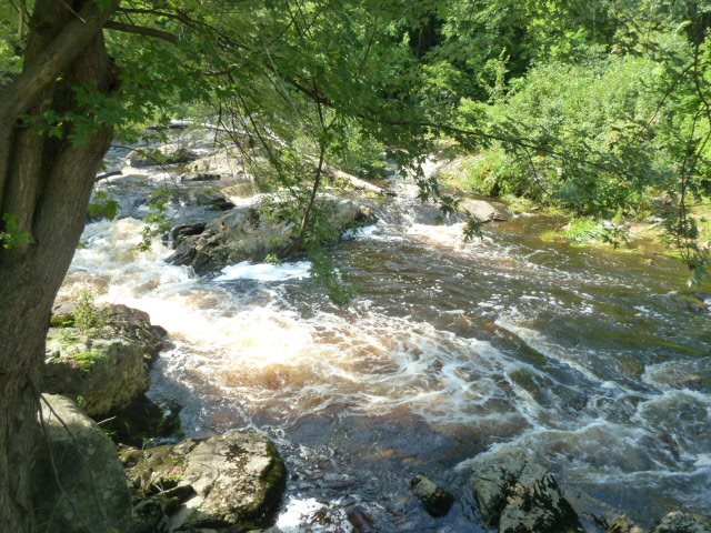 6 Mill Falls Road Pembroke, NH 03275 - Photo 19 of 26 Gallery Image 19